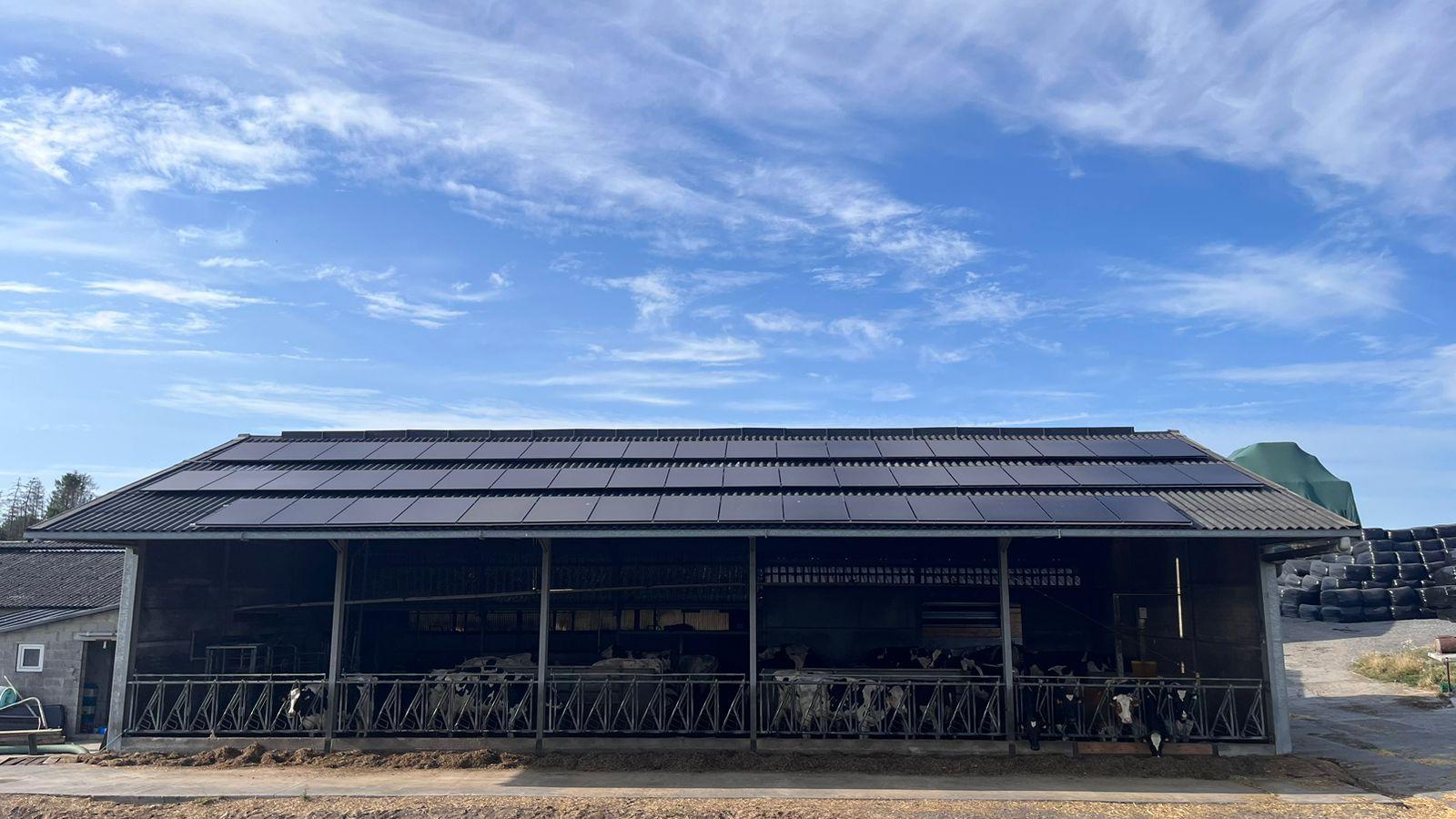Zonnepanelen